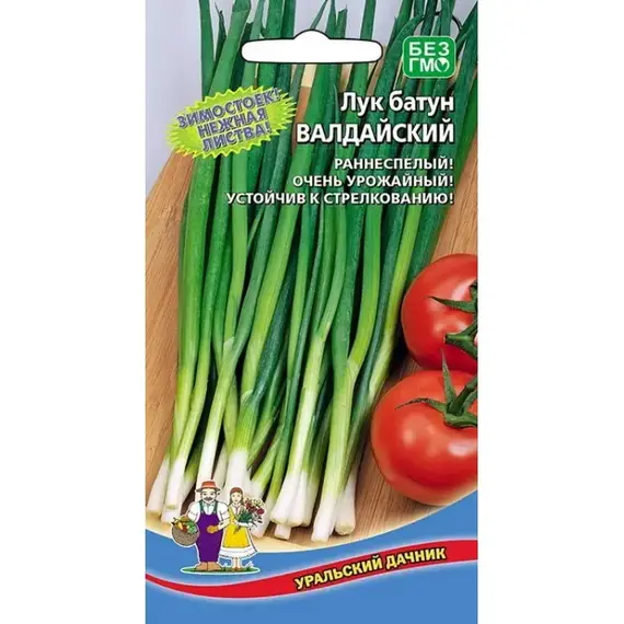 Семена Лук батун Валдай/Валдайский (а/ф Уральский Дачник)