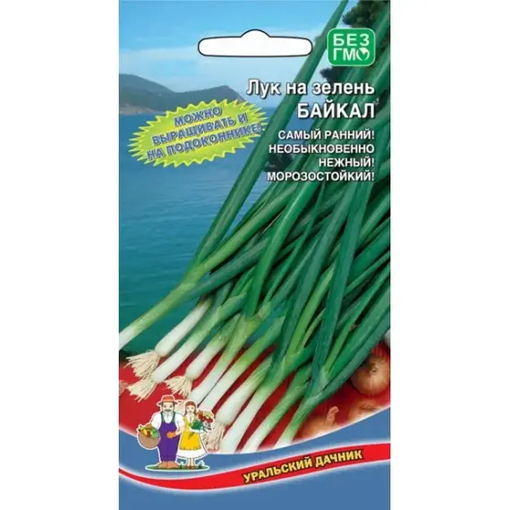Семена Лук на зелень Байкал (а/ф Уральский Дачник)