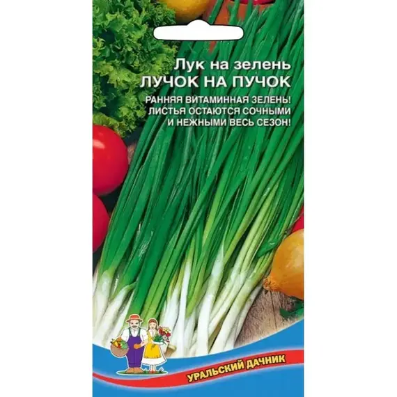 Семена Лук на зелень Лучок на пучок (а/ф Уральский Дачник)