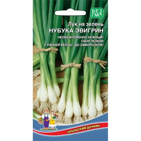 Семена Лук на зелень Нубука Эвигрин (а/ф Уральский Дачник)