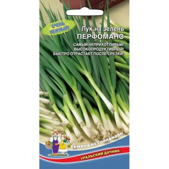 Семена Лук на зелень Перфоманс (а/ф Уральский Дачник)