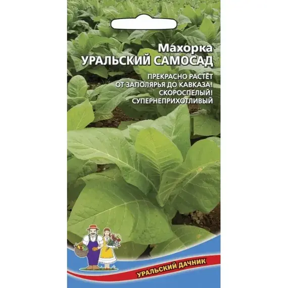 Семена Махорка Уральский Самосад (а/ф Уральский Дачник)