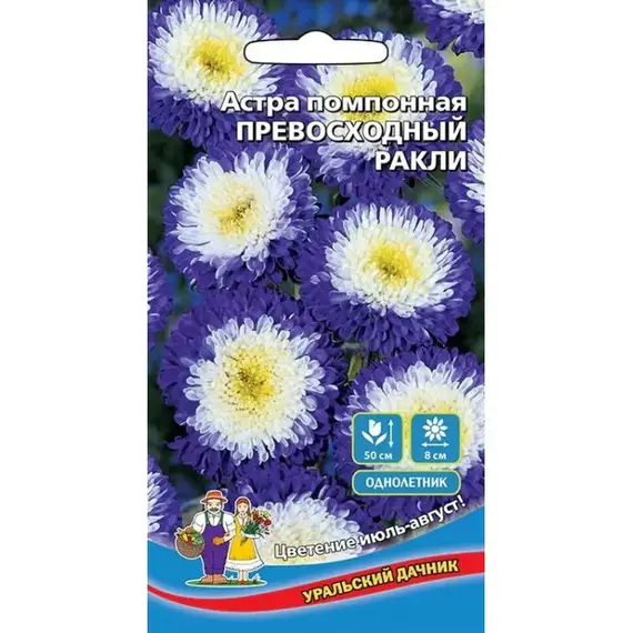 Семена Астра помпонная Превосходный Ракли (а/ф Уральский Дачник)