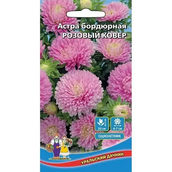 Семена Астра Розовый ковер - бордюрная (а/ф Уральский Дачник)