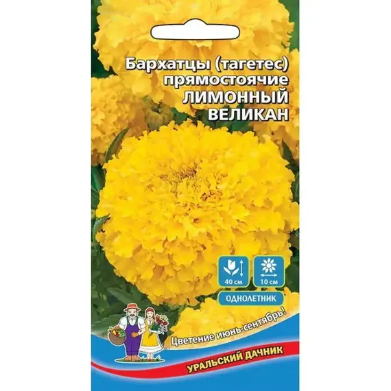 Семена Бархатцы Лимонный великан - прямостоячие (а/ф Уральский Дачник)
