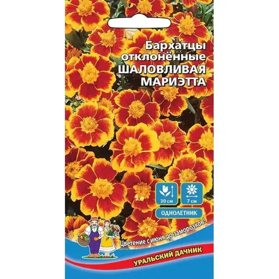 Семена Бархатцы Шаловливая Мариэтта - отклоненные (а/ф Уральский Дачник)