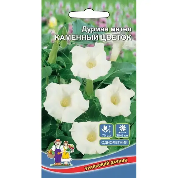 Семена Дурман метел Каменный Цветок (а/ф Уральский Дачник)
