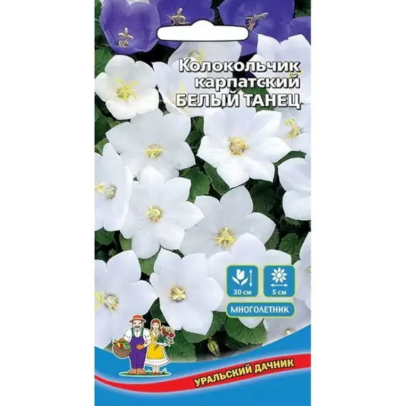 Семена Колокольчик Белый танец - карпатский (а/ф Уральский Дачник)