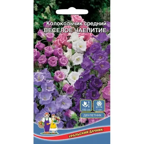 Семена Колокольчик Веселое чаепитие (а/ф Уральский Дачник)