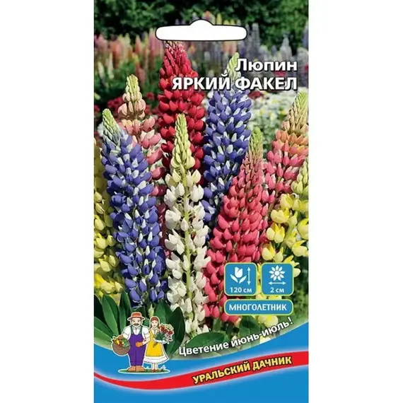 Семена Люпин Яркий Факел (а/ф Уральский Дачник)