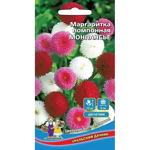 Семена Маргаритка Монпасье - помпонная (а/ф Уральский Дачник)