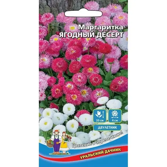 Семена Маргаритка Ягодный десерт (а/ф Уральский Дачник)