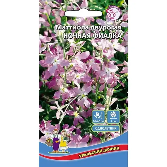 Семена Маттиола двурогая Ночная фиалка (а/ф Уральский Дачник)