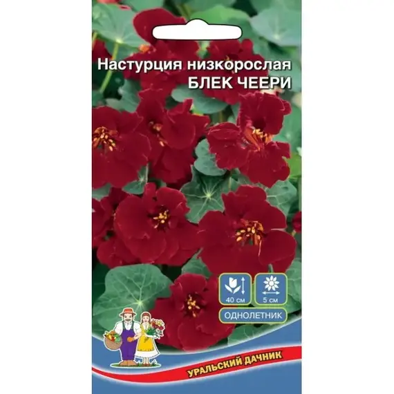 Семена Настурция низкорослая Блек черри (а/ф Уральский Дачник)