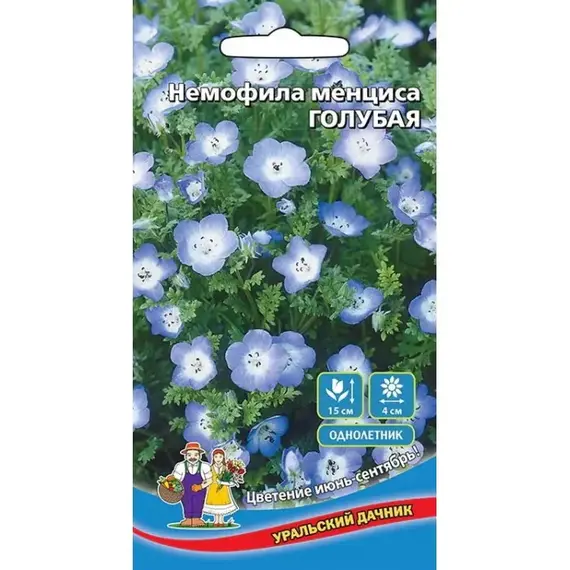 Семена Немофила менциса Голубая (а/ф Уральский Дачник)