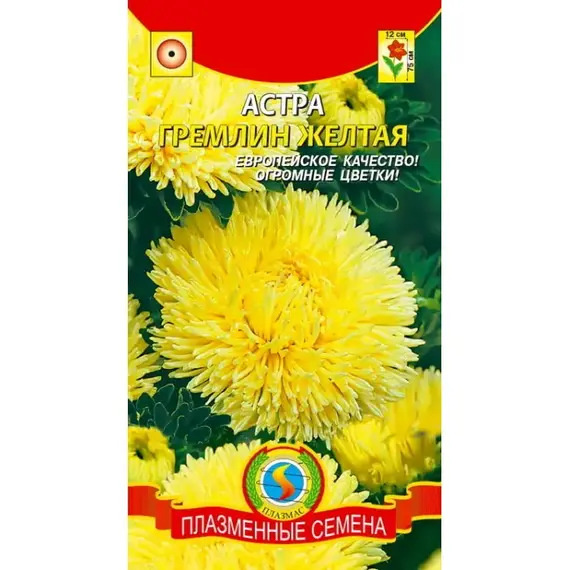 Семена Астра Гремлин желтая (а/ф Плазменные семена)