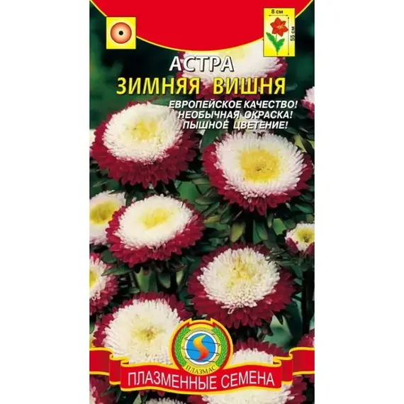 Семена Астра Зимняя вишня (а/ф Плазменные семена)
