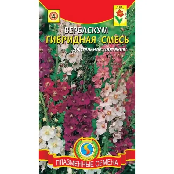Семена Вербаскум гибридная смесь (а/ф Плазменные семена)