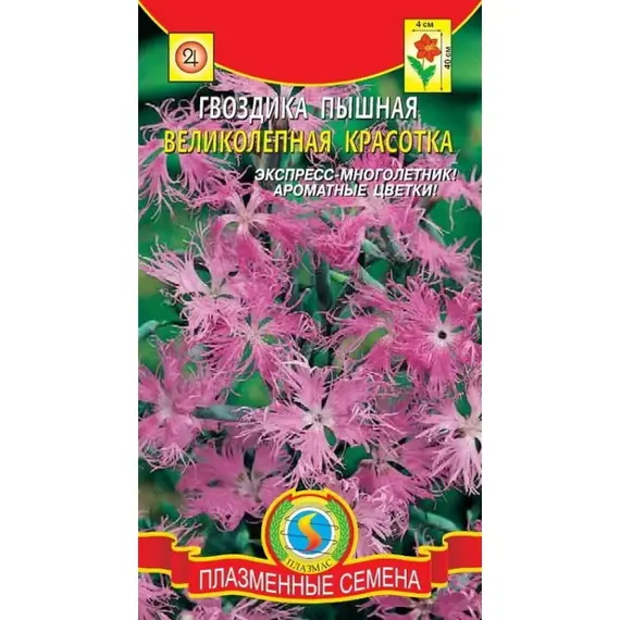 Семена Гвоздика пышная Великолепная красотка (а/ф Плазменные семена)