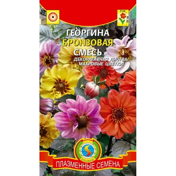 Семена Георгина Бронзовая смесь (а/ф Плазменные семена)