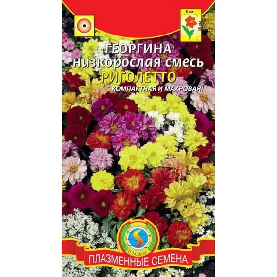 Семена Георгина Риголеттоесь (а/ф Плазменные семена)