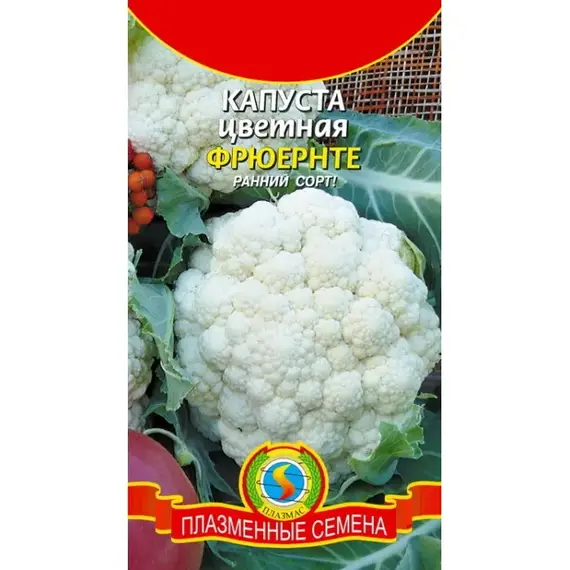 Семена Капуста цветная Фрюернте (а/ф Плазменные семена)