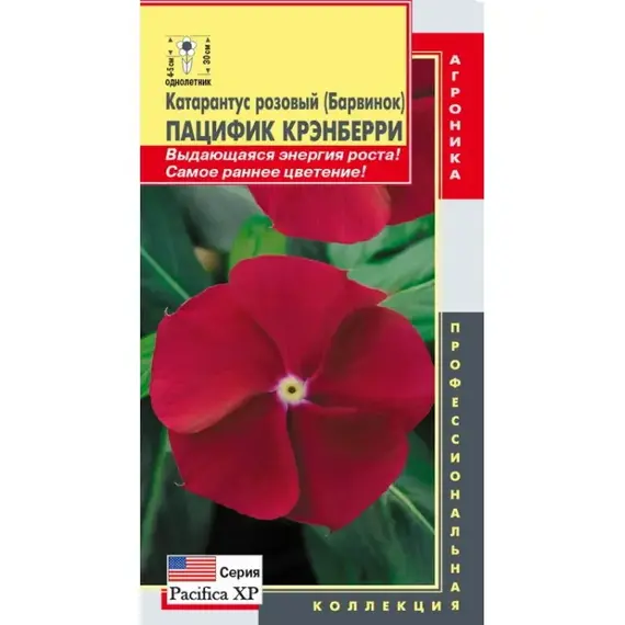 Семена Катарантус розовый (Барвинок) Пацифик Крэнберри (а/ф Плазменные семена)
