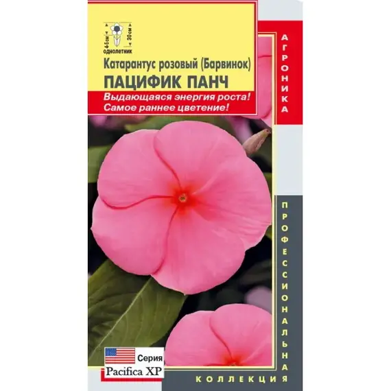 Семена Катарантус розовый (Барвинок) Пацифик Панч (а/ф Плазменные семена)