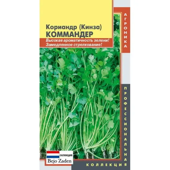 Семена Кориандр Коммандер (а/ф Плазменные семена)