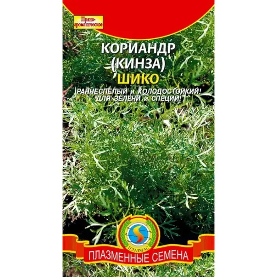 Семена Кориандр Шико (а/ф Плазменные семена)