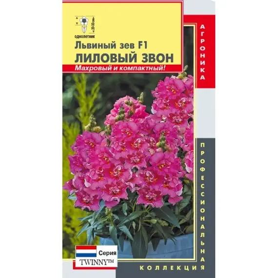 Семена Львиный зев F1 (серия Twinny) Лиловый звон (а/ф Плазменные семена)