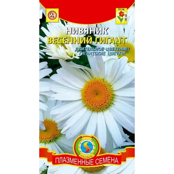 Семена Нивяник Весенний Гигант (а/ф Плазменные семена)