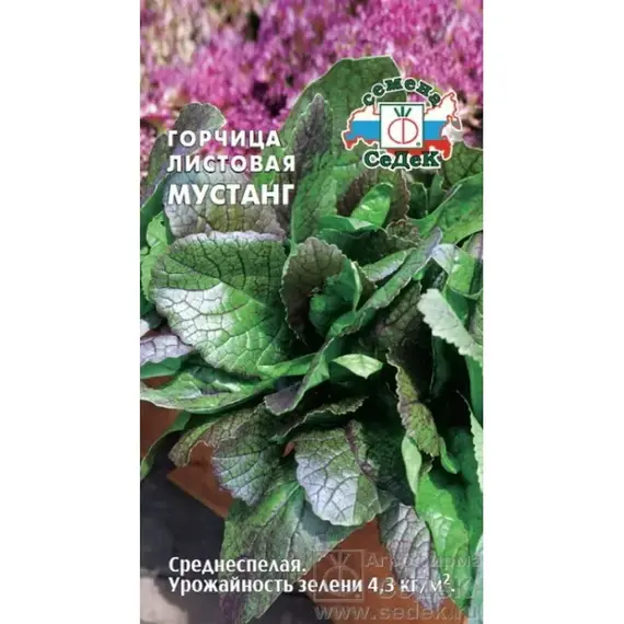 Семена Горчица Мустанг листовая сарепская (а/ф Седек)