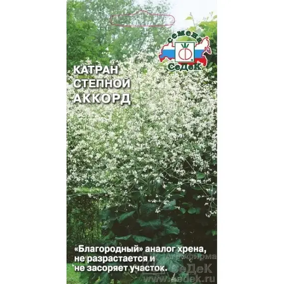 Семена Катран (Хрен) степной Аккорд (а/ф Седек)