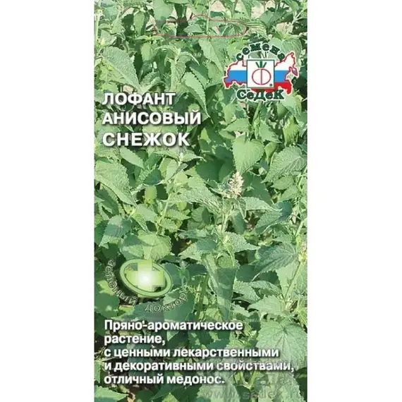 Семена Лофант Снежок (а/ф Седек)