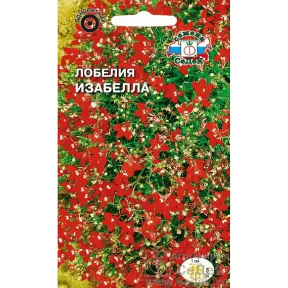 Семена Лобелия ампельная Изабелла (а/ф Седек)