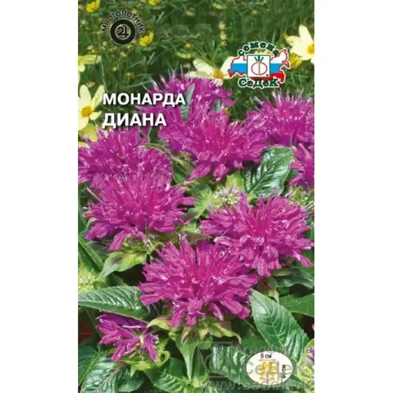 Семена Монарда Диана (а/ф Седек)