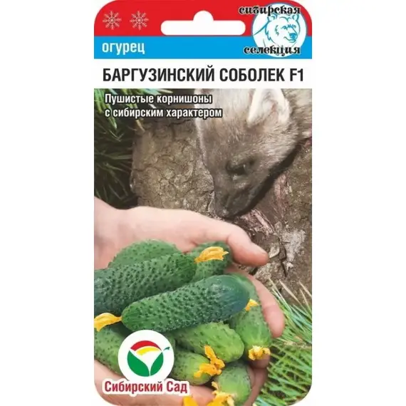 Семена Огурец Баргузинский соболек F1 7шт (а/ф Сибирский Сад)