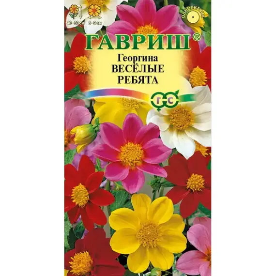 Семена Георгина Веселые ребята смесь (а/ф Гавриш)