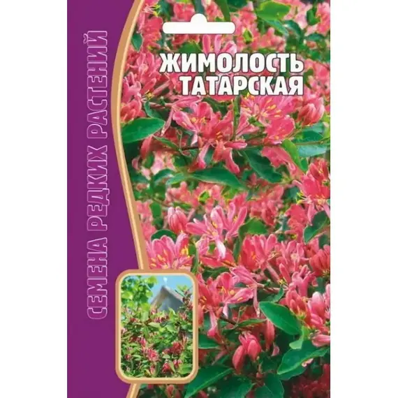 Семена Жимолость Татарская 15шт (а/ф Редкие семена)