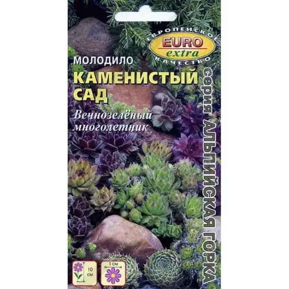 Семена Молодило Каменистыйесь(а/ф Аэлита)