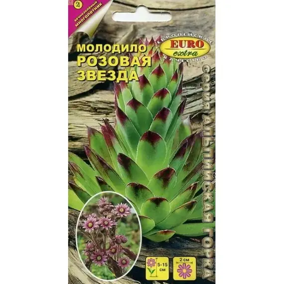 Семена Молодило кровельное Розовая звезда (а/ф Аэлита)