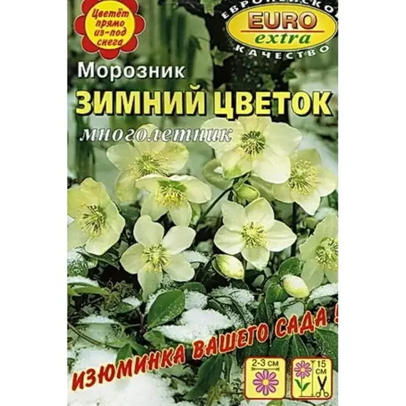 Семена Морозник Зимний цветок (а/ф Аэлита)