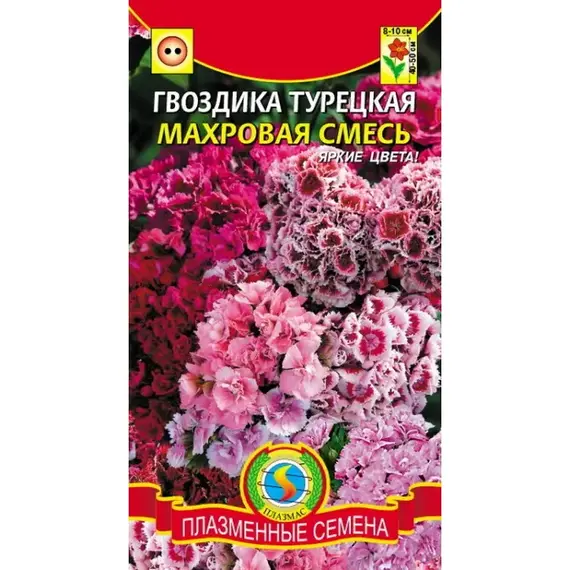 Семена Гвоздика турецкая МАХРОВАЯ СМЕСЬ (а/ф Плазменные Семена)