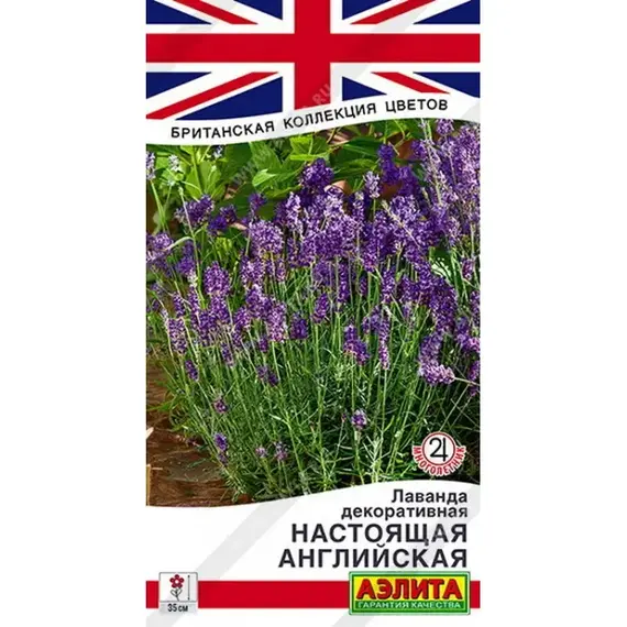Семена Лаванда декоративная настоящая Английская (а/ф Аэлита)