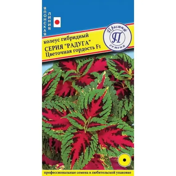 Семена Колеус гибридный Радуга Цветочная Гордость F1 (а/ф Престиж)