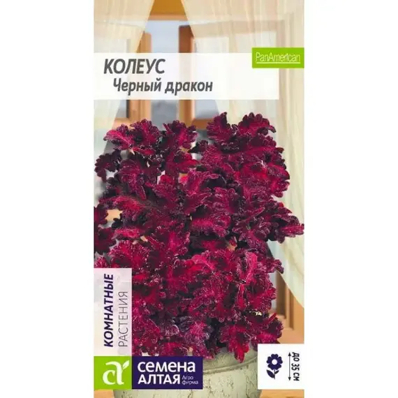 Семена Колеус Черный Дракон (а/ф Семена Алтая)