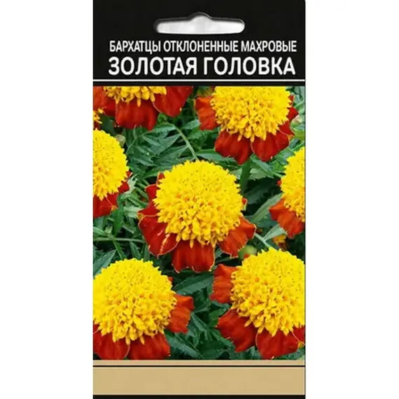 Семена Бархатцы Золотая головка отклоненные махровые (а/ф Северный Огород)
