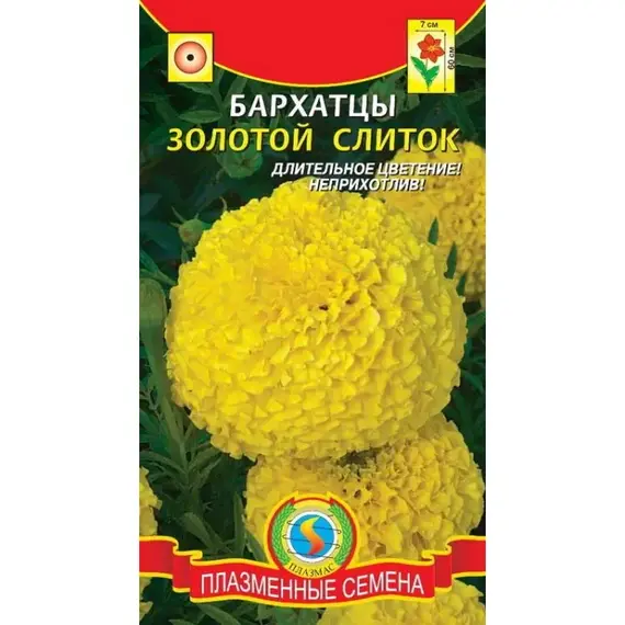 Семена Бархатцы Золотой Слиток отклоненные (а/ф Плазменные Семена)