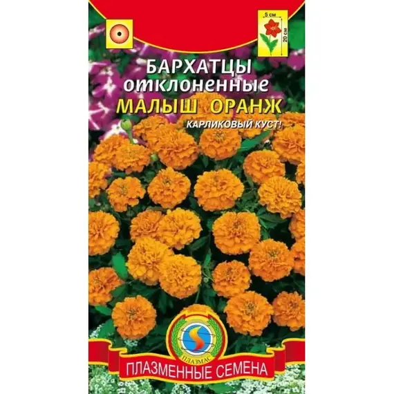 Семена Бархатцы Малыш Оранж отклоненные (а/ф Плазменные Семена)